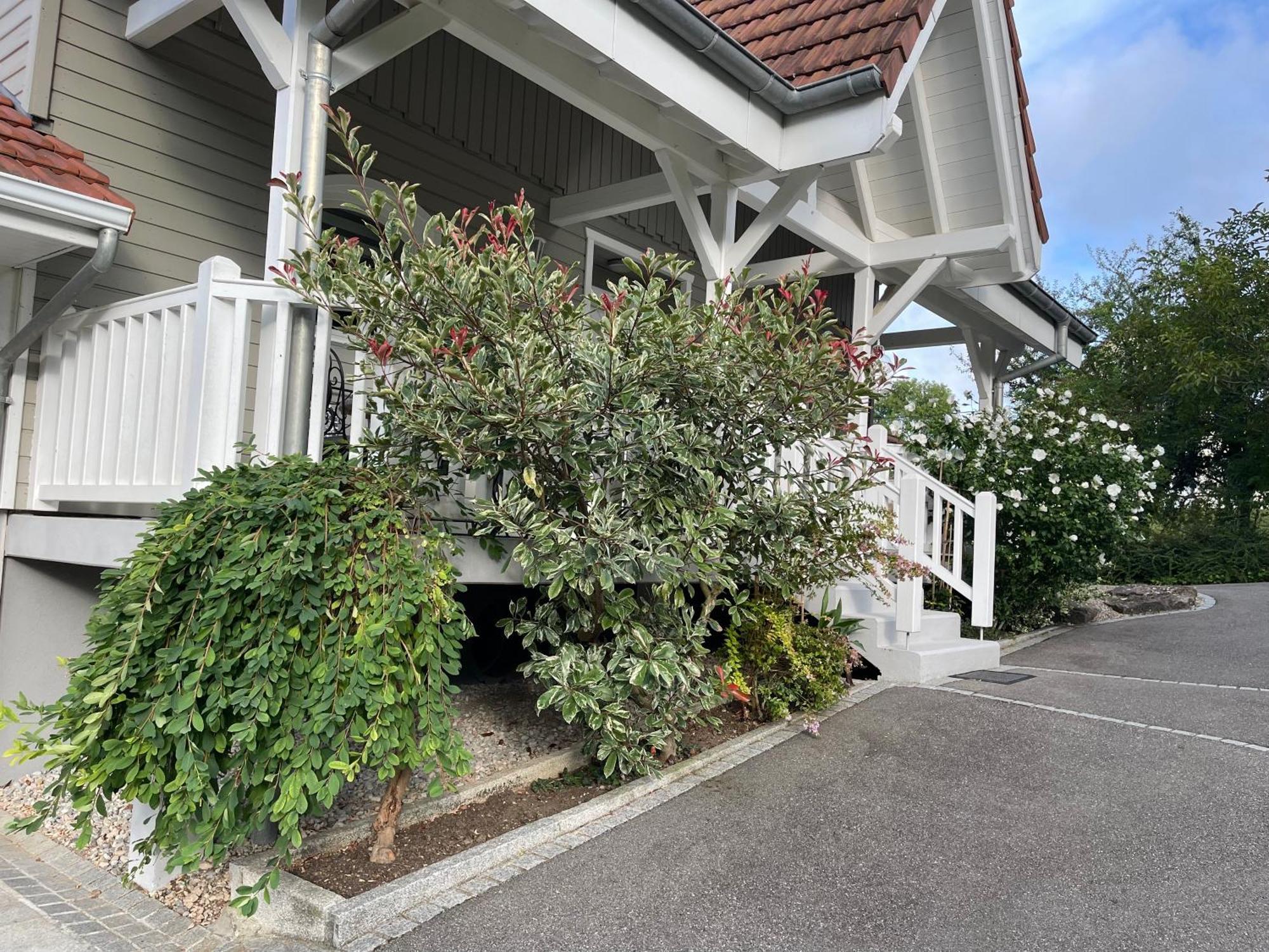 Tulipes Et Cetera Hotel Waldighoffen Luaran gambar