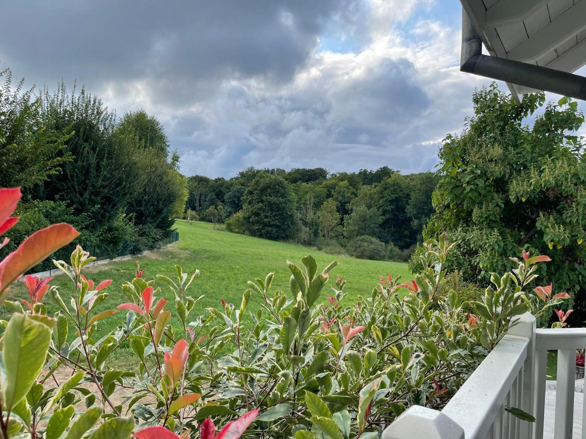 Tulipes Et Cetera Hotel Waldighoffen Luaran gambar